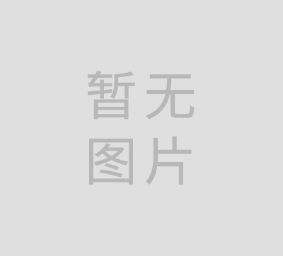 其它熔融石英产品